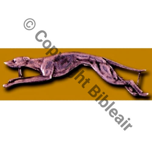 081  1917.19 A1060NH SPA.81 2e Modele a coudre ARGENT MdL P.CARDON Src.PH.BARTLETT via A.DENIS 